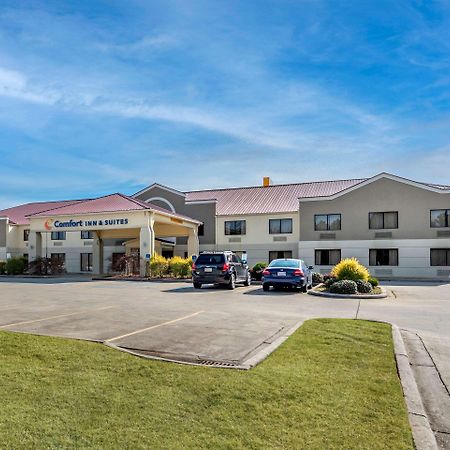 Comfort Inn & Suites Leeds I-20 Eksteriør billede