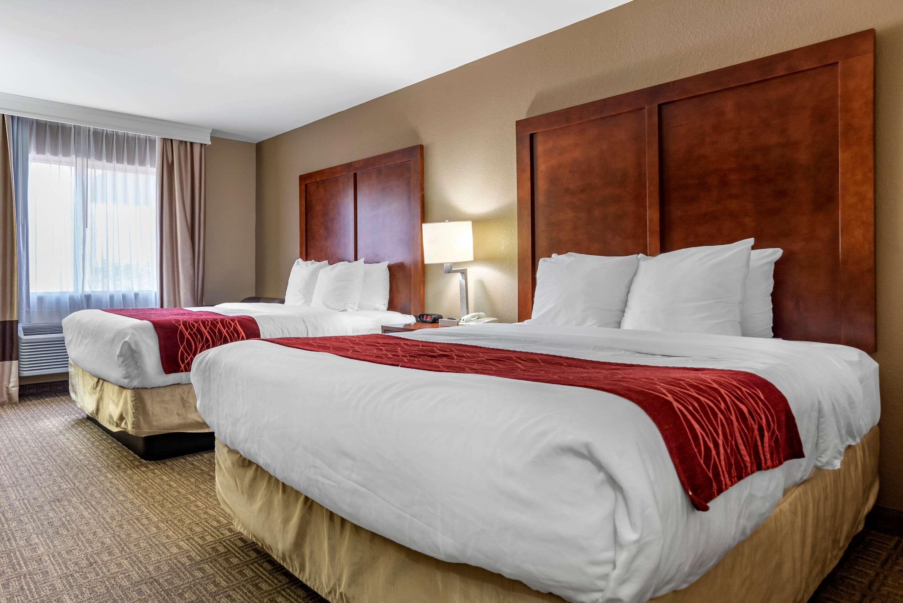Comfort Inn & Suites Leeds I-20 Eksteriør billede
